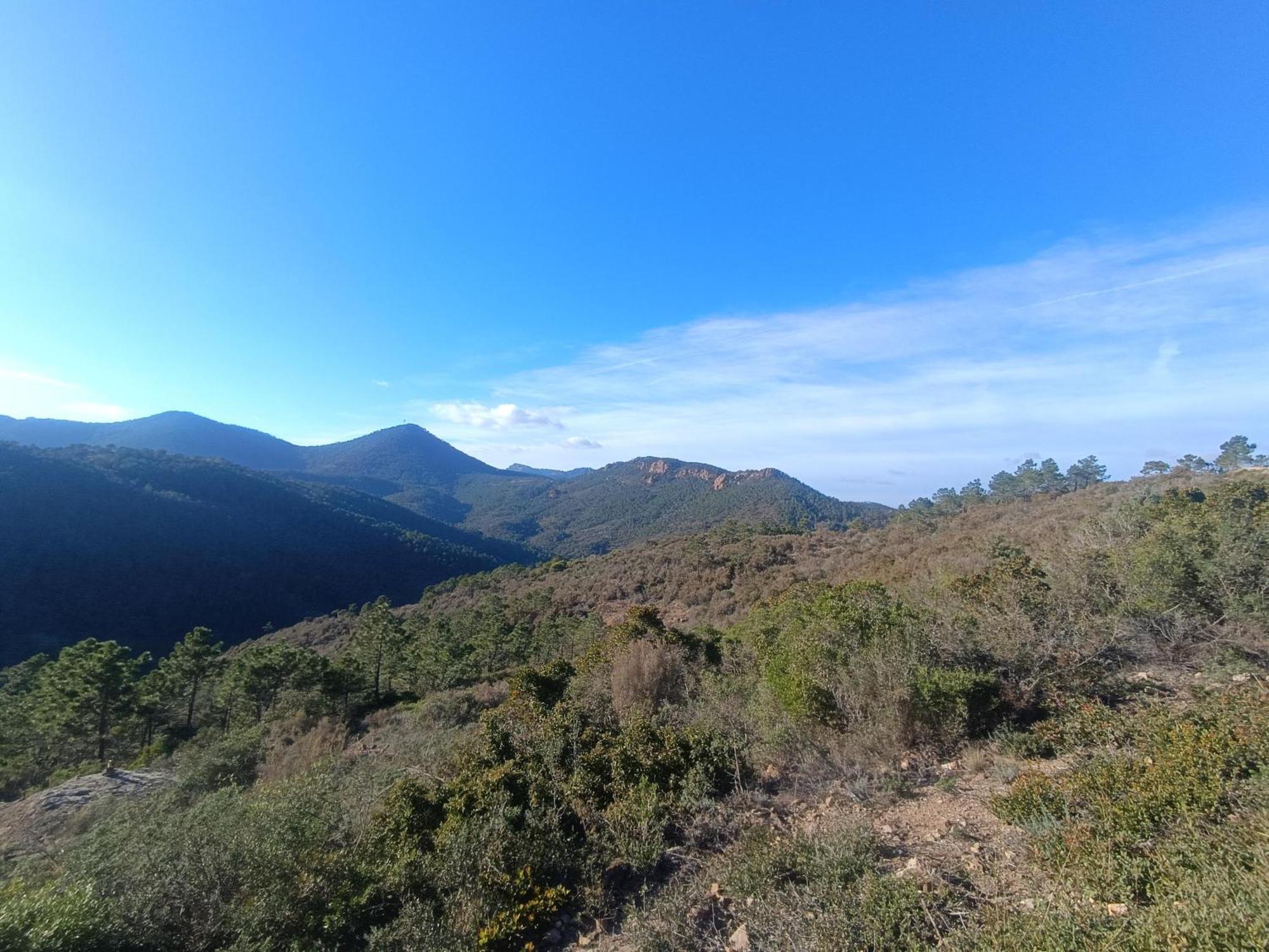 Magnifique Vue Mer Et Piscine - Les Cles De L Esterel Теуль-сюр-Мер Екстер'єр фото