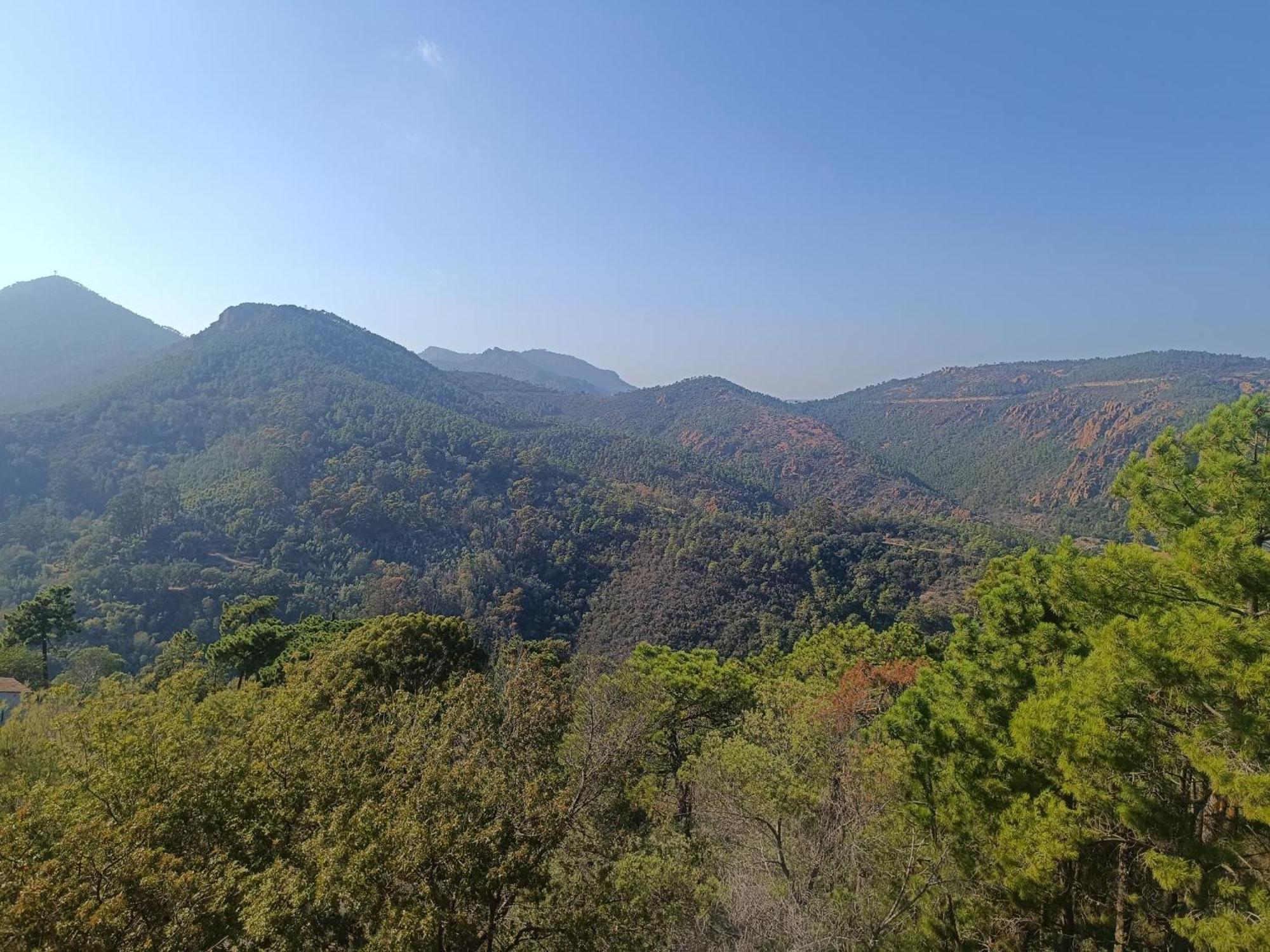 Magnifique Vue Mer Et Piscine - Les Cles De L Esterel Теуль-сюр-Мер Екстер'єр фото