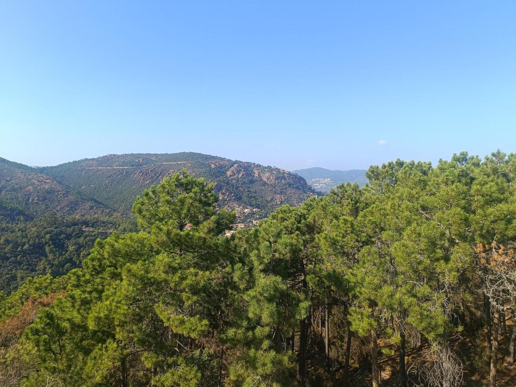 Magnifique Vue Mer Et Piscine - Les Cles De L Esterel Теуль-сюр-Мер Екстер'єр фото